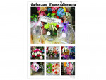 ร้าน ฉันท์ และ เธอ ดอกไม้ ขอนแก่น