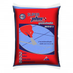 TPI Polene Public Co Ltd