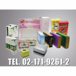 Color Point Co., Ltd.