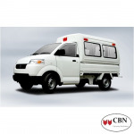 หลังคากระบะคอนเทนเนอร์ - หลังคากระบะแครี่บอย