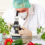 Thai Chemical Marketing Co Ltd