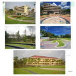 จัดสนามหญ้าและทางเดิน - บริษัท เอ็น พี พี แลนด์สเคป จำกัด