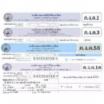 Original Accounting & Commerce Co Ltd