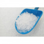 Newton Equipment Co.,Ltd.