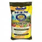 ฟุกเทียนตะวันออก