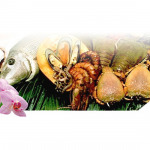 Health & Envitech Co Ltd