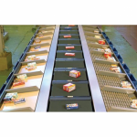 ติดตั้งสายการผลิต - ระบบคอนเวเยอร์ เอส เอส เอส เอ็นจิเนียริ่ง แอนด์ เซอร์วิส