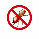 กำจัดปลวกตายยกรัง เชียงใหม่ - บริษัท เวิลด์ เพสท์ เซอร์วิส จำกัด