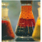 Zeal Chemicals Co Ltd