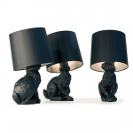 Inova Lighting Co Ltd