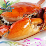 เมนูปู ช่องเขาซีฟู๊ดส์  หาดใหญ่ - ภัตตาคารช่องเขาซีฟู๊ดส์ หาดใหญ่