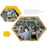 จัดหาแรงงานต่างด้าว อยุธยา - จัดหางาน วิคตอรี่ 2005 อยุธยา