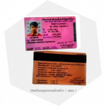 นำเข้าแรงงานต่างด้าว อยุธยา - จัดหางาน วิคตอรี่ 2005 อยุธยา