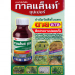 Por Kasetphan Chumphon LP