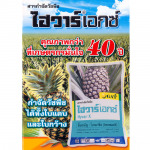 Por Kasetphan Chumphon LP