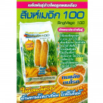 Por Kasetphan Chumphon LP