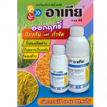 Por Kasetphan Chumphon LP