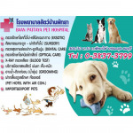 Baan Pattaya Animal Hospital