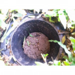 SV Homeinter Services Co Ltd