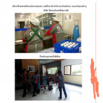 GFI Service Group Co Ltd