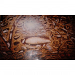 S P Service Pest Control LP