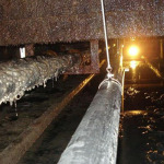 Aglow (Thailand) Co Ltd