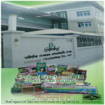 Galong Marketing Co Ltd