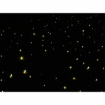 TW Pools & Construction LP