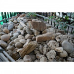 Wacharaphon Marble 2000