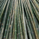 Sanamchai Bore Pile Co Ltd