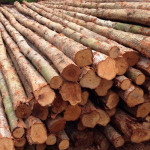 Sanamchai Bore Pile Co Ltd