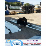 รางสังกะสีพับตามแบบ ระยอง - น บูรพารางน้ำ