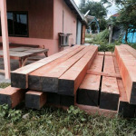 ไม้ฝา - เสาวณีย์ ค้าไม้