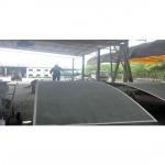 BCC International-Phonsai