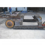 BCC International-Phonsai