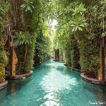 เอ็มเอส พูล