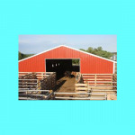 Steel Frame Building Co Ltd