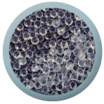 Thai Future Commercial Co Ltd