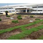 รับปูหญ้า - ไร่หญ้าตะวันรุ่ง