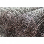 สมพิศ ค้าเหล็ก พิษณุโลก