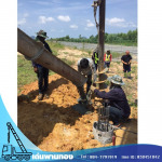 Den Phanthong Co Ltd