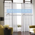 ชัญญาภรณ์ ผ้าม่าน เชียงราย