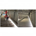 กำจัดไรนก - บริษัท พีทีบี คลีนนิ่ง เซอร์วิสเซส แอนด์ ซัพพลาย จำกัด