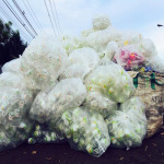 วงษ์พาณิชย์ พุทธมณฑลสาย 7 นครปฐม