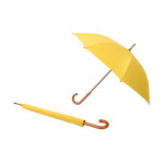 City Umbrella Co Ltd