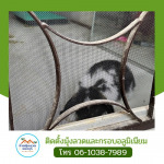 ช่างติดตั้งมุ้งสแตนเลส แข็งแรง ทนทาน - มุ้งลวดราคาถูก ช่างศักดิ์