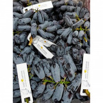 องุ่น - ร้าน จำหน่ายผลไม้นำเข้า ตลาดไท -  ฉ.ฮั้ว