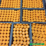 รับผลิตสบู่ก้อน ราคาถูก - โรงงานผลิตสบู่ - บริษัท สยามเอเชี่ยน โซฟ เอ็นเตอร์ไพรส์ จำกัด