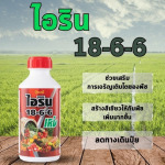 ไอริน 18-6-6 - จำหน่ายสารปรับปรุงดิน ปุ๋ยน้ำเพิ่มผลผลิต จากนวัตกรรมอเมริกา