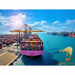 The company orders products from China. - CMPANDA ยินดีพร้อมให้บริการ